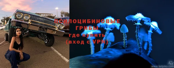 a pvp Вяземский