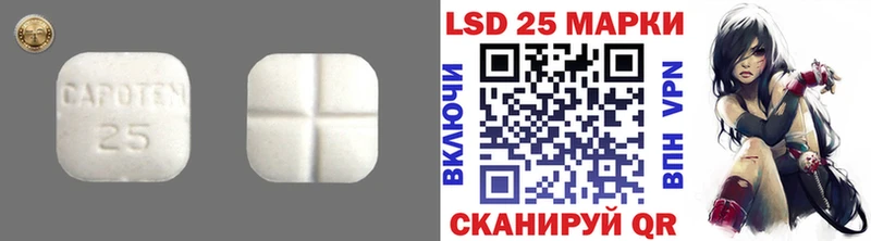 LSD-25 экстази кислота  Зима 