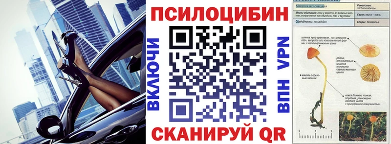 Галлюциногенные грибы Psilocybine cubensis  Зима 